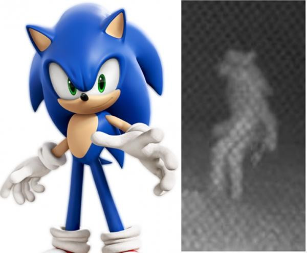Có netizen nói sinh vật bí ẩn trông rất giống nhân vật hoạt hình Nhím Sonic. Ảnh: Twitter.