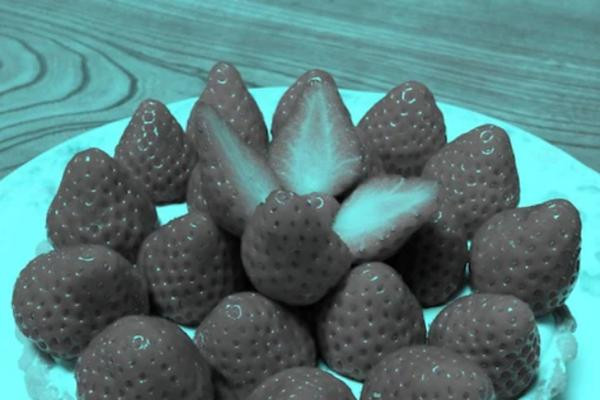 Nhìn sát vào những quả dâu, vẫn thấy chúng màu đỏ hoặc hồng? Ảnh: Akiyoshi Kitaoka.