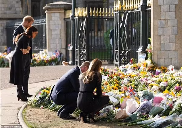 Vợ chồng William - Kate và Harry - Meghan đọc những lời nhắn gửi mà công chúng đính kèm hoa để thể hiện lòng thương tiếc Nữ hoàng. Ảnh: James Whatling. Vợ chồng William - Kate và Harry - Meghan đọc những lời nhắn gửi mà công chúng đính kèm hoa để thể hiện lòng thương tiếc Nữ hoàng. Ảnh: James Whatling.