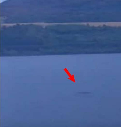 Hình ảnh phóng to. Ảnh: Eoin Fagan.