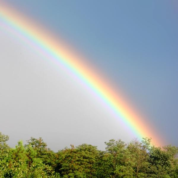 Hóa ra không phải lúc nào cầu vồng cũng có nhiều màu. Ảnh: Met Office.