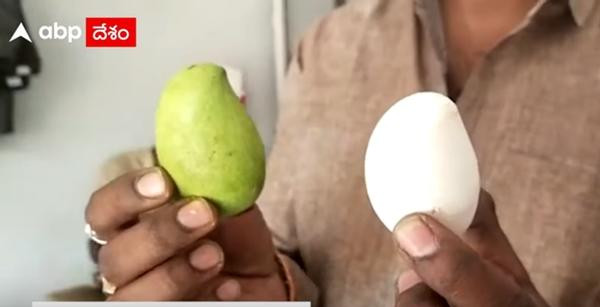 Bác Babu còn phải tìm một quả xoài để so sánh. Ảnh: ABP.