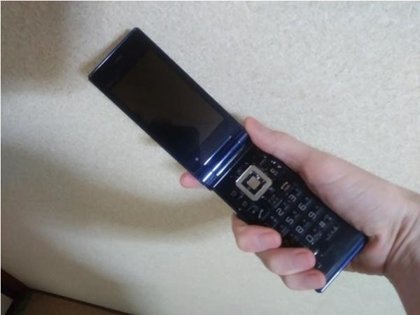 Hóa ra chỉ là thứ này. Ảnh: Sora.