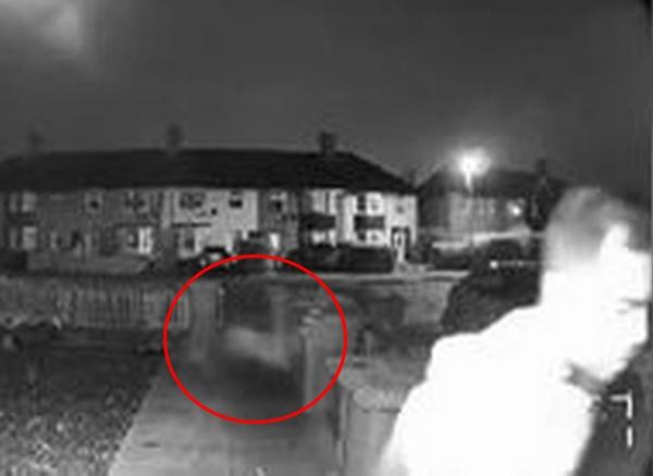 Gia đình Phil sợ hãi sau khi xem video. Ảnh: Phil Johnson.