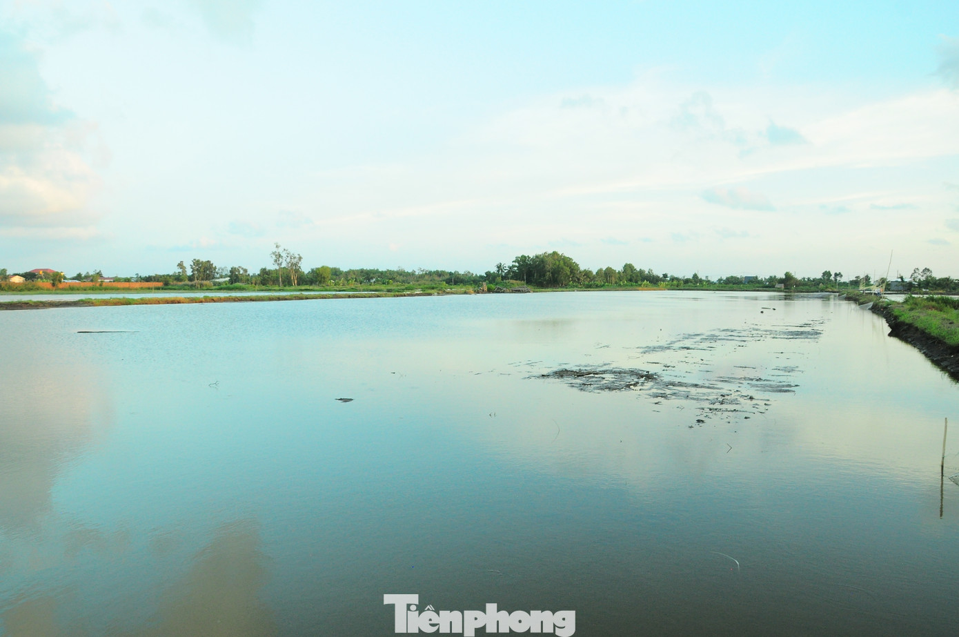 Nhiều hộ dân nuôi tôm nên không sản xuất lúa Hè Thu, Thu Đông, chỉ làm 1 vụ Đông Xuân vào thời điểm mùa khô. Việc nuôi tôm cũng giảm được chi phí trong khâu làm đất, phân, thuốc trong vụ lúa sau đó.