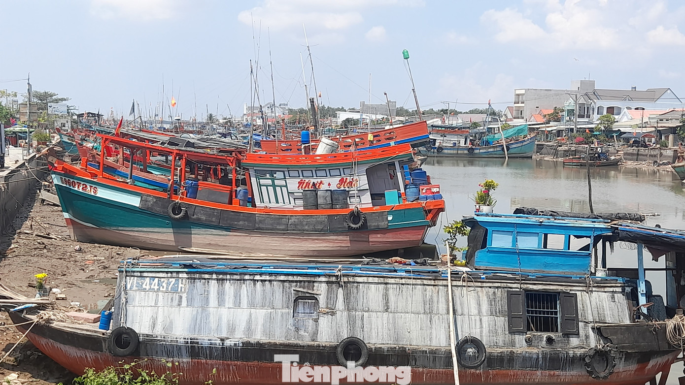 Khu neo đậu tàu tại Cảng cá Định An, tỉnh Trà Vinh. Ảnh: Cảnh Kỳ Khu neo đậu tàu tại Cảng cá Định An, tỉnh Trà Vinh. Ảnh: Cảnh Kỳ