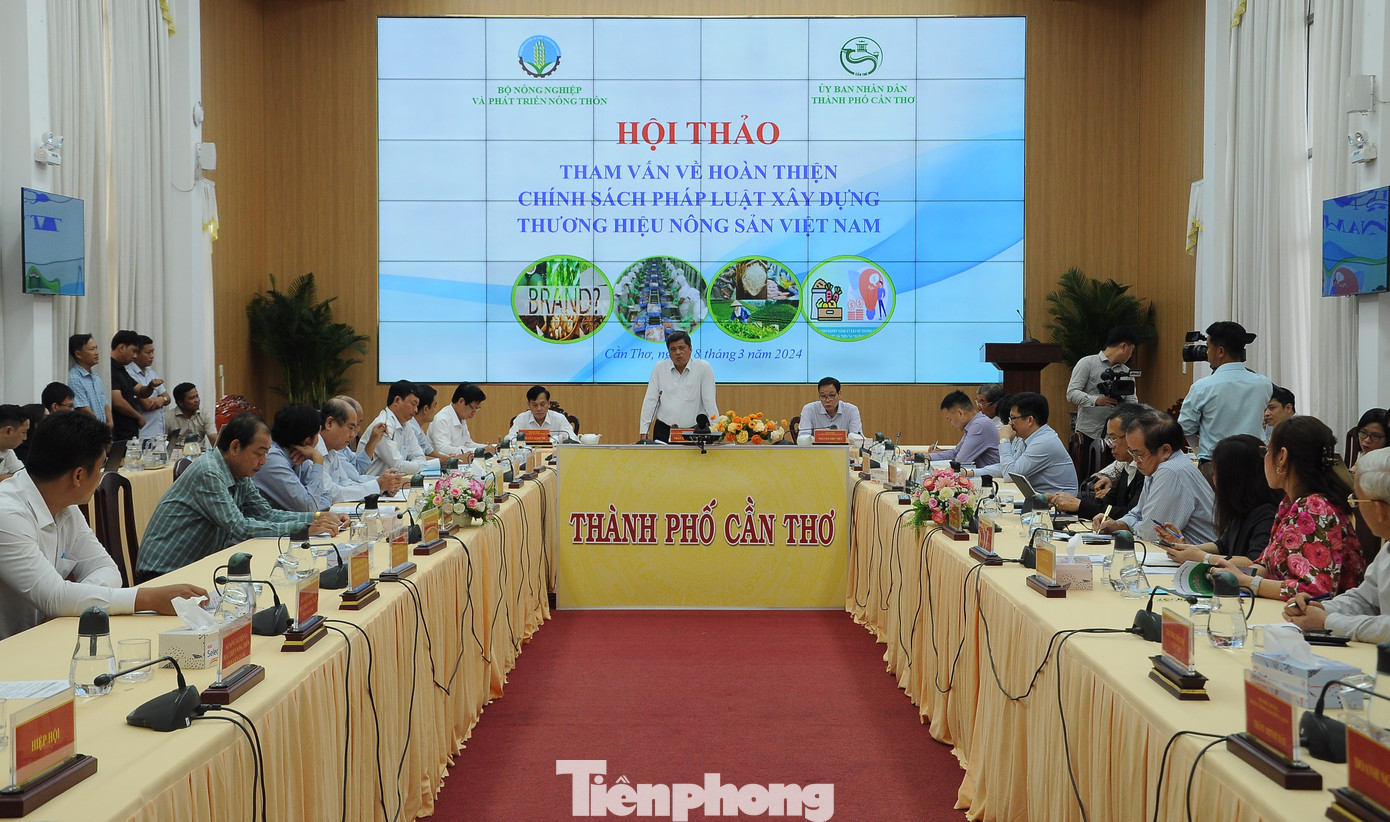 Nhà quản lý, chuyên gia, doanh nghiệp cùng bàn về xây dựng chính sách cho thương hiệu nông sản Việt. Ảnh: Cảnh Kỳ.