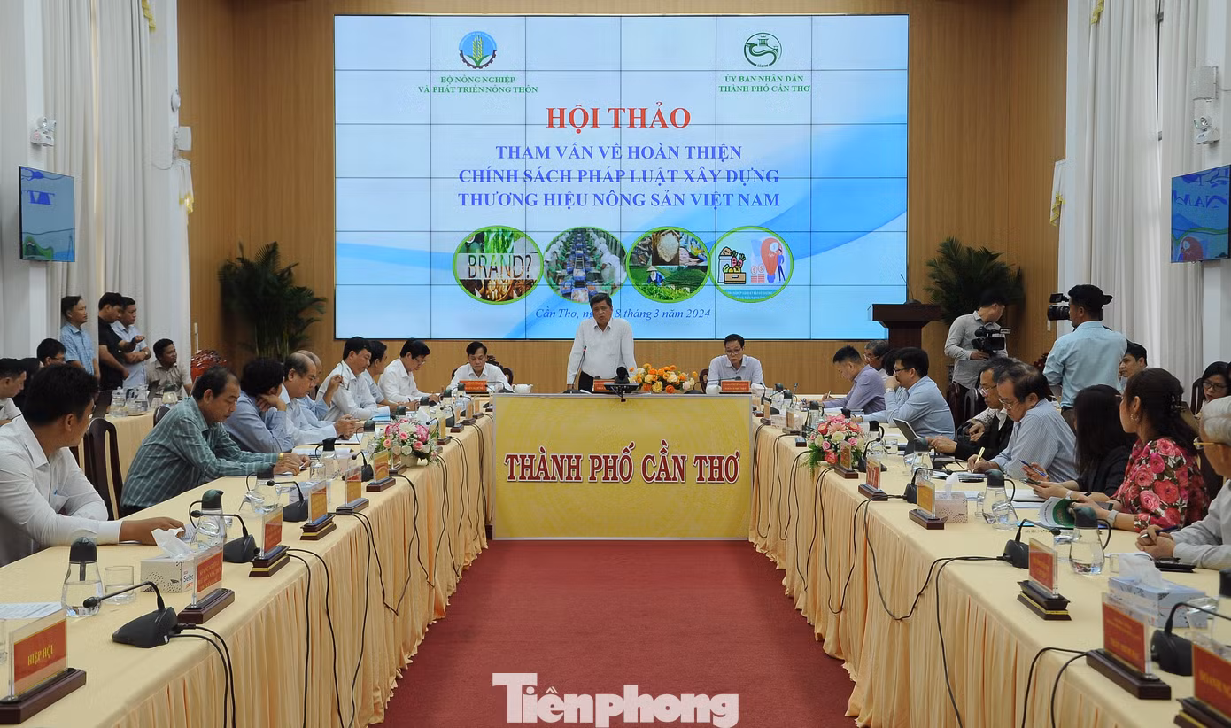 Nhà quản lý, chuyên gia, doanh nghiệp cùng bàn về xây dựng chính sách cho thương hiệu nông sản Việt. Ảnh: Cảnh Kỳ. Nhà quản lý, chuyên gia, doanh nghiệp cùng bàn về xây dựng chính sách cho thương hiệu nông sản Việt. Ảnh: Cảnh Kỳ.