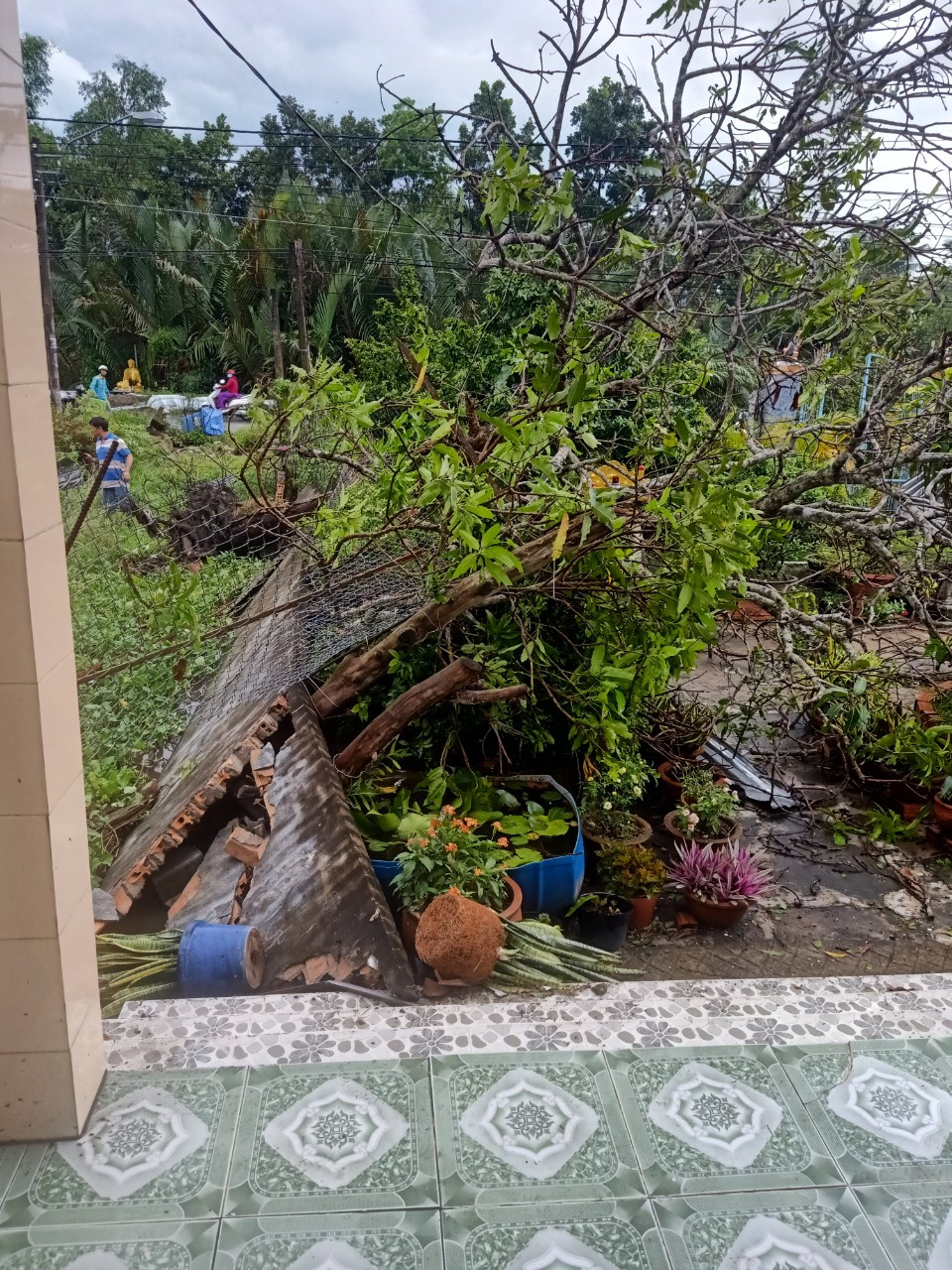 Hiện trường vụ lốc xoáy.