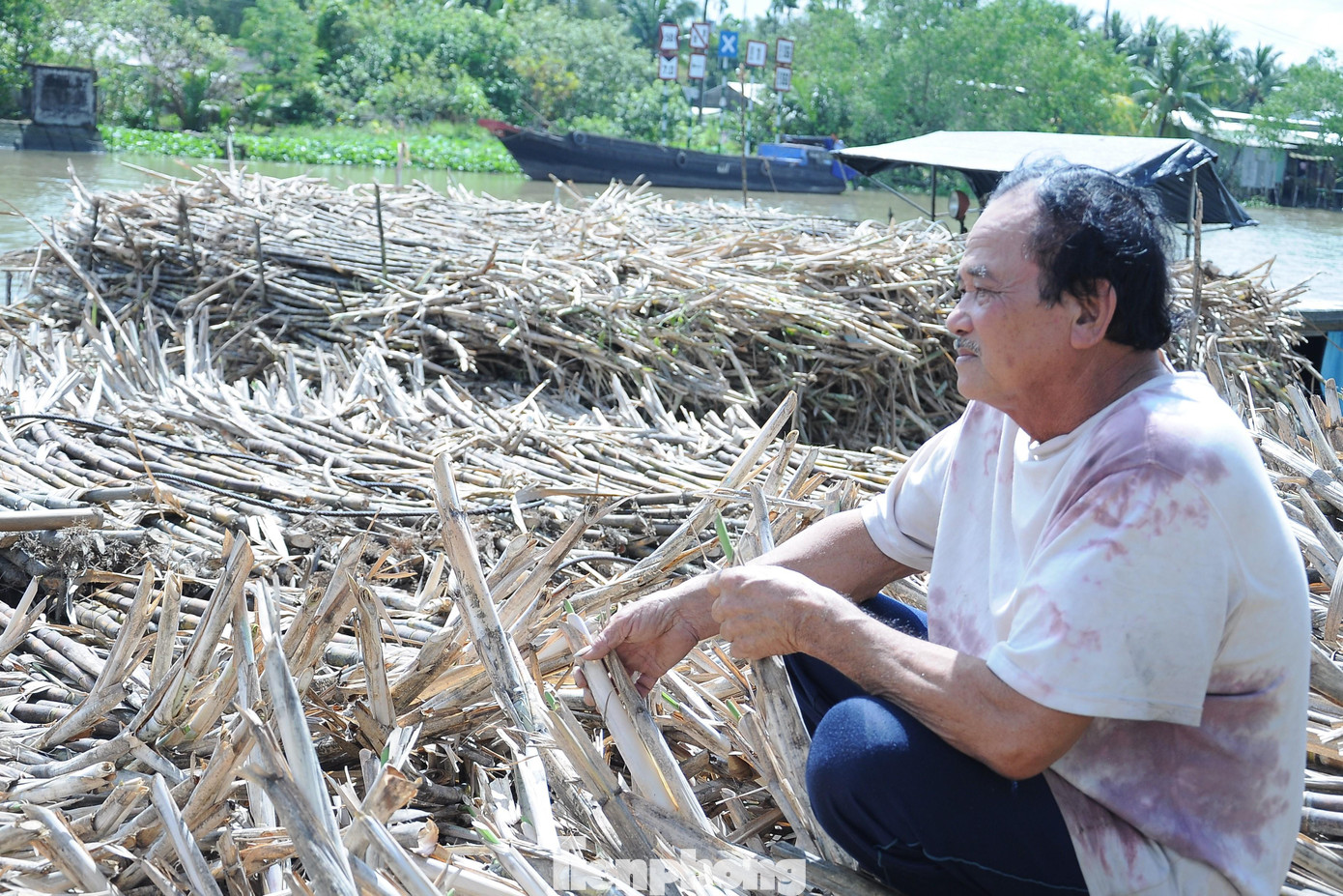 Ông Dương Văn Lộc nhìn sang phía nhà máy đường.