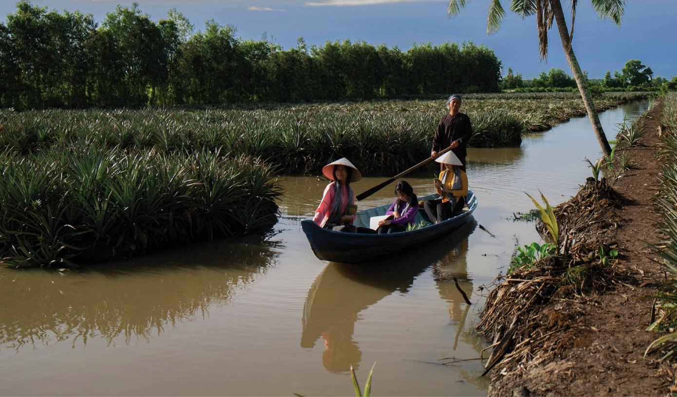 Trải nghiệm vườn khóm Cầu Đúc, đặc sản trăm năm ở Hậu Giang. Trải nghiệm vườn khóm Cầu Đúc, đặc sản trăm năm ở Hậu Giang.