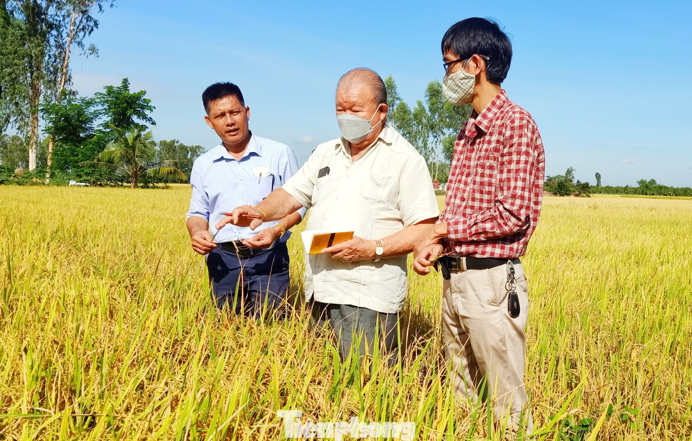 GS Võ Tòng Xuân trong một chuyến thăm mô hình ở An Giang. Ảnh: CK