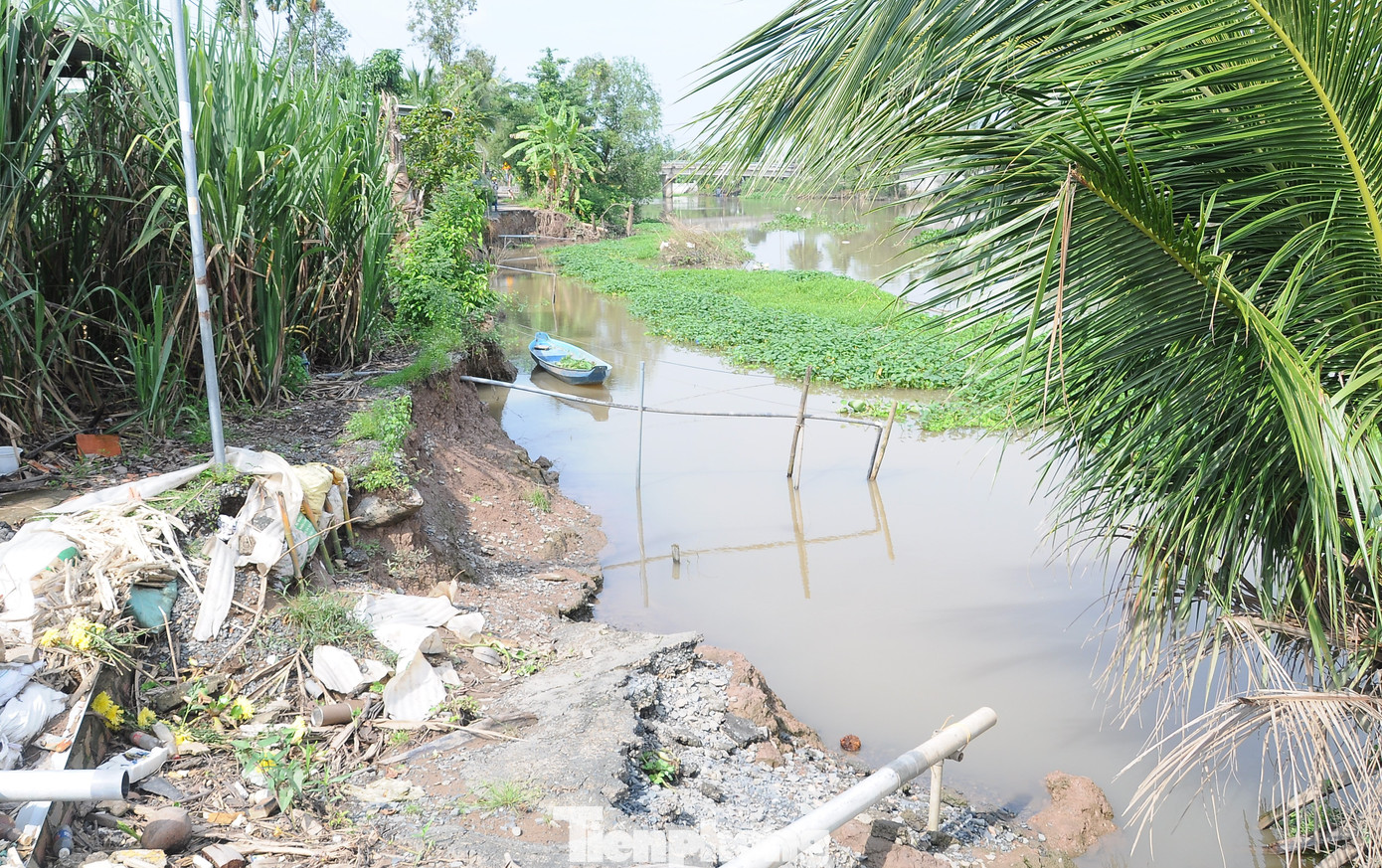 UBND tỉnh Trà Vinh công bố tình huống khẩn cấp sạt lở tuyến đê bao Bắc Trang – Trẹm, xã An Quảng Hữu, huyện Trà Cú. Ảnh minh họa
