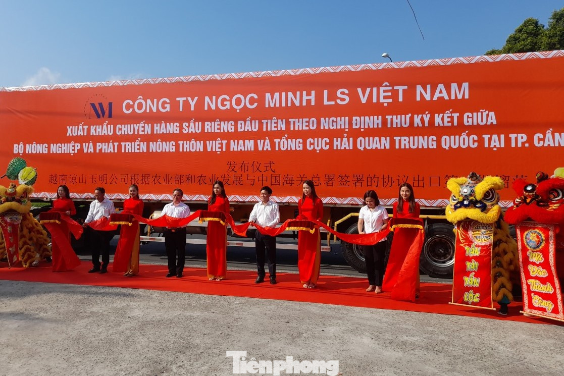 Nghi thức cắt băng xuất khẩu chuyến sầu riêng Cần Thơ sang Trung Quốc (ảnh: CK). Nghi thức cắt băng xuất khẩu chuyến sầu riêng Cần Thơ sang Trung Quốc (ảnh: CK).