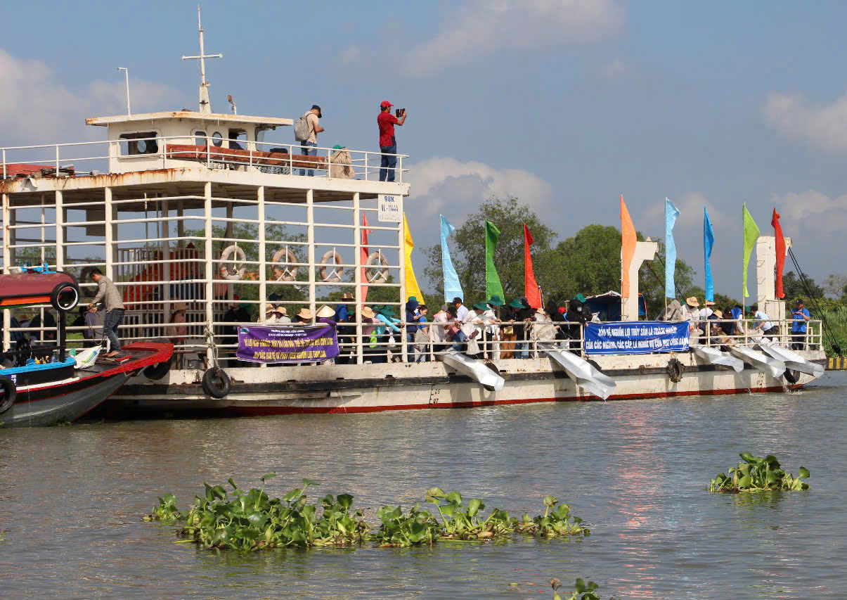 Ngành chức năng thả 374.000 con cá giống xuống sông Cổ Chiên, một nhánh lớn của sông Tiền.