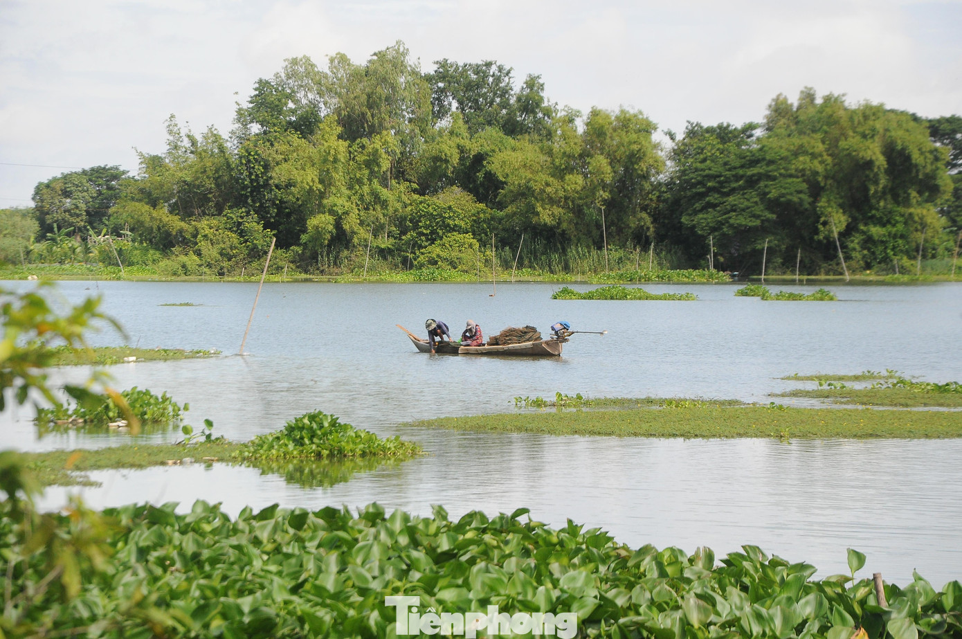 Mưu sinh mùa nước nổi tại ĐBSCL. Ảnh: CK