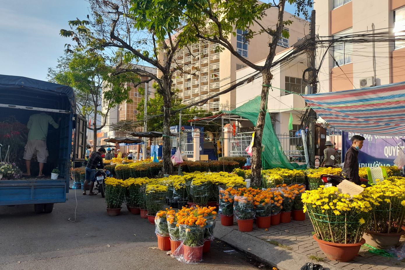 Trong khi đó, nhiều điểm bán hoa vẫn còn ế ẩm, hoa còn khá nhiều dù đã gần cuối giờ chiều 30 Tết.
