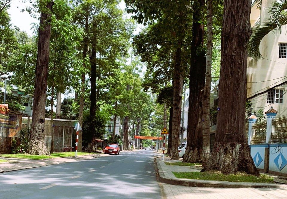 Một góc thành phố Trà Vinh. Một góc thành phố Trà Vinh.