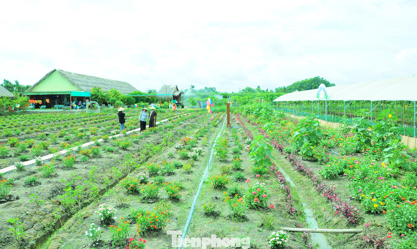 Nằm cách trung tâm TP. Cần Thơ khoảng hơn 30km, khu vườn rộng 14ha với những vườn hoa đủ màu sắc, cây trái xanh mướt quanh năm. Nằm cách trung tâm TP. Cần Thơ khoảng hơn 30km, khu vườn rộng 14ha với những vườn hoa đủ màu sắc, cây trái xanh mướt quanh năm.