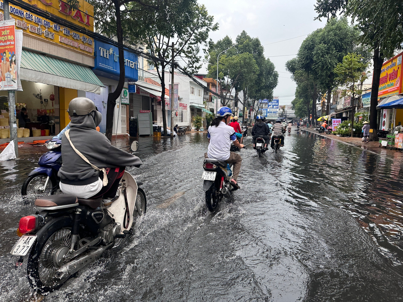 Tại quận Ninh Kiều, chiều nay (16/6) cũng xuất hiện trận mưa lớn khiến một số tuyến đường nội như Cách Mạng Tháng Tám, Trần Việt Châu... bị ngập. Tại quận Ninh Kiều, chiều nay (16/6) cũng xuất hiện trận mưa lớn khiến một số tuyến đường nội như Cách Mạng Tháng Tám, Trần Việt Châu... bị ngập.