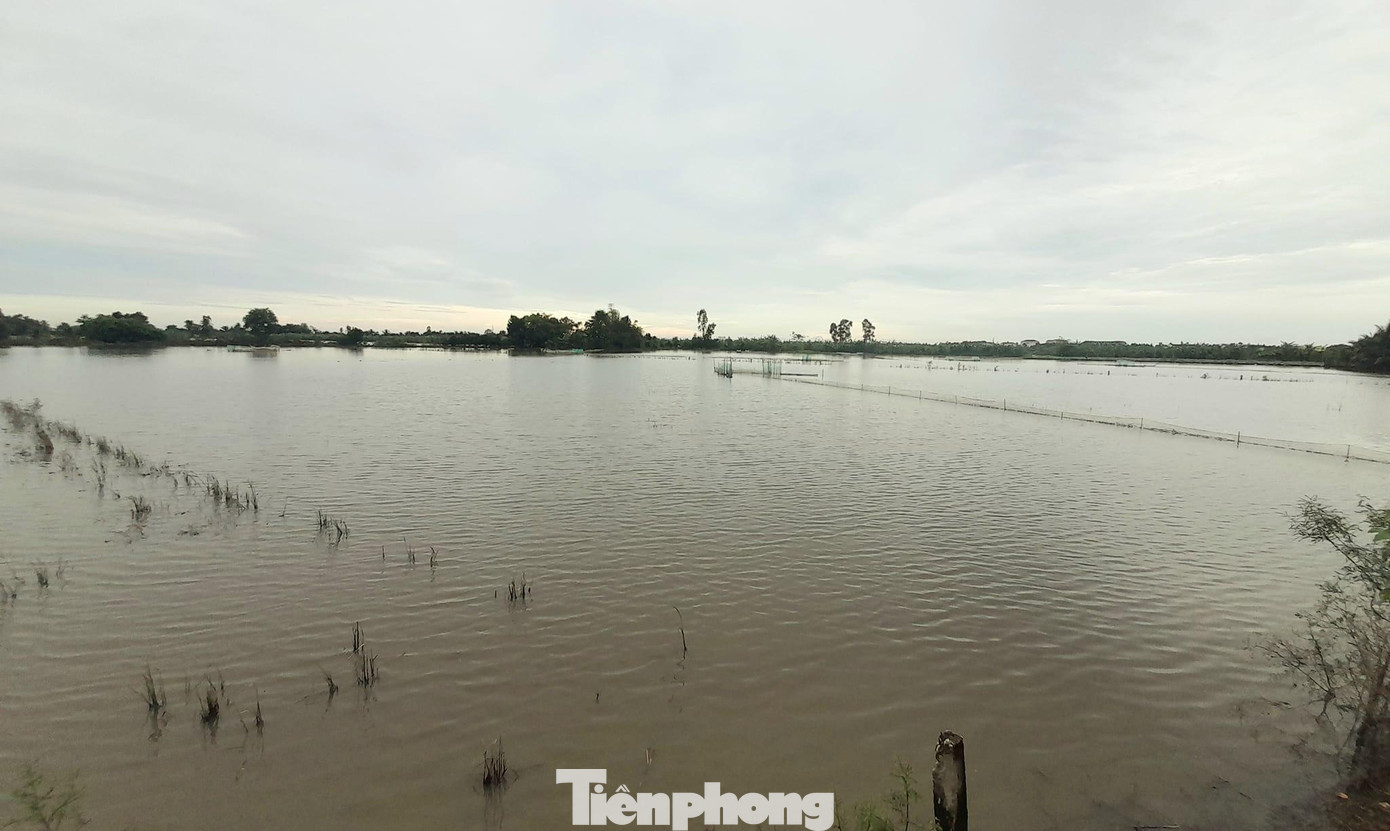 Mùa mưa lũ năm nay tại ĐBSCL dự báo còn diễn biến phức tạp.