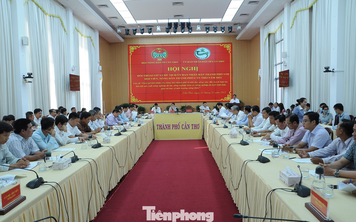 Quang cảnh hội nghị. Quang cảnh hội nghị.