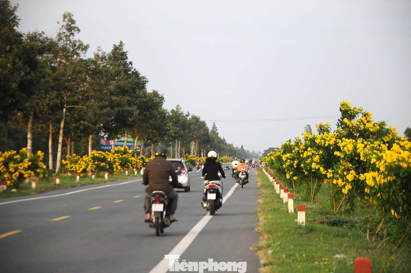 Quốc lộ 61C đoạn qua Hậu Giang. Ảnh: CK