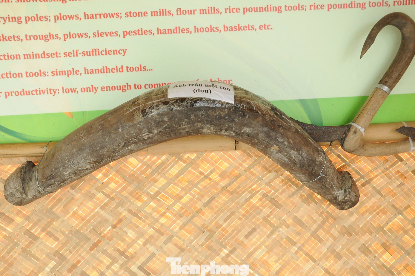 Đây là thời kỳ sản xuất tự cung tự cấp, công cụ giản đơn, cầm tay; năng suất lao động thấp, chỉ đảm bảo bù đắp sức lao động… Đây là thời kỳ sản xuất tự cung tự cấp, công cụ giản đơn, cầm tay; năng suất lao động thấp, chỉ đảm bảo bù đắp sức lao động…