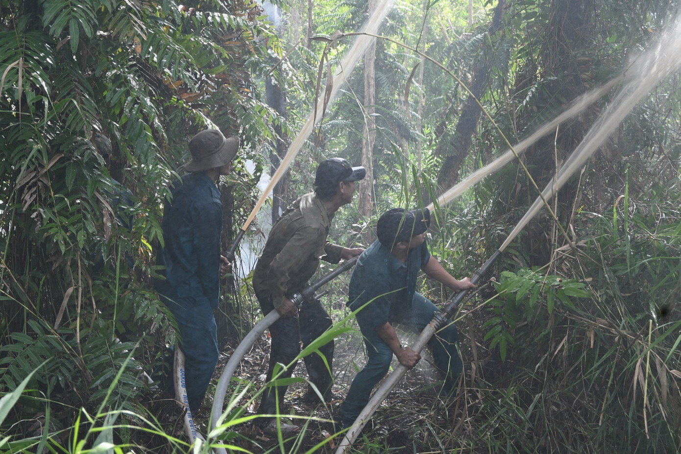 Diễn tập chữa cháy rừng ở Cà Mau. Diễn tập chữa cháy rừng ở Cà Mau.