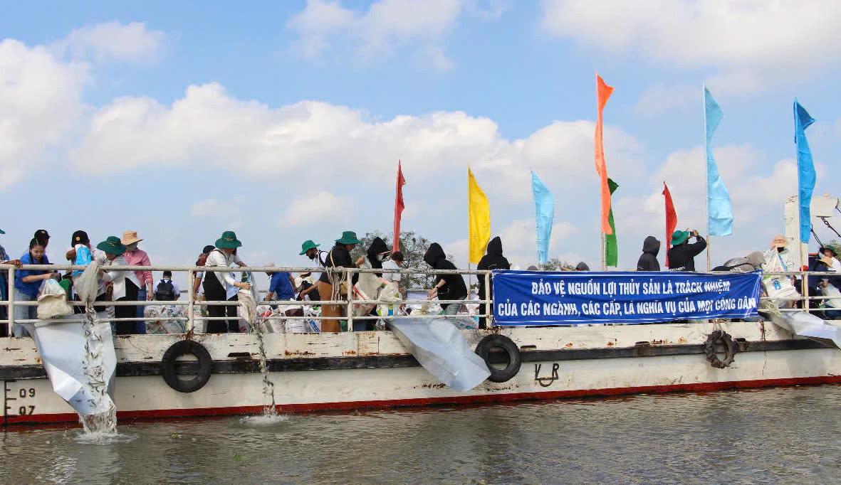 Ngành chức năng thả 374.000 con cá giống xuống sông Cổ Chiên, một nhánh lớn của sông Tiền.