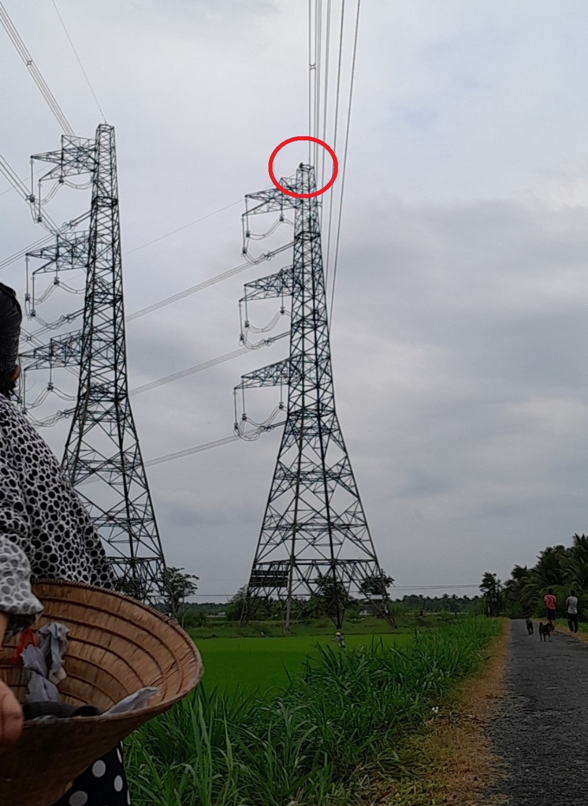 Hình ảnh người đàn ông leo tới đỉnh của cột điện cao thế 500kV.