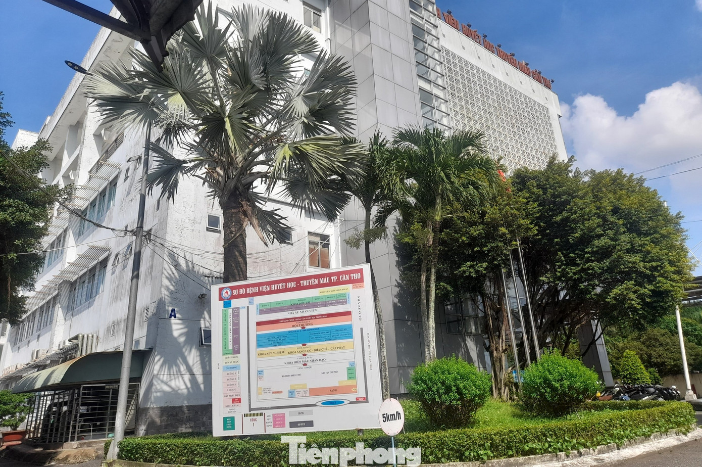 Bệnh viện Huyết học – Truyền máu (HH-TM) Cần Thơ là đơn vị cung ứng máu cho 74 bệnh viện, cơ sở y tế khu vực Đồng bằng sông Cửu Long. Bệnh viện Huyết học – Truyền máu (HH-TM) Cần Thơ là đơn vị cung ứng máu cho 74 bệnh viện, cơ sở y tế khu vực Đồng bằng sông Cửu Long.