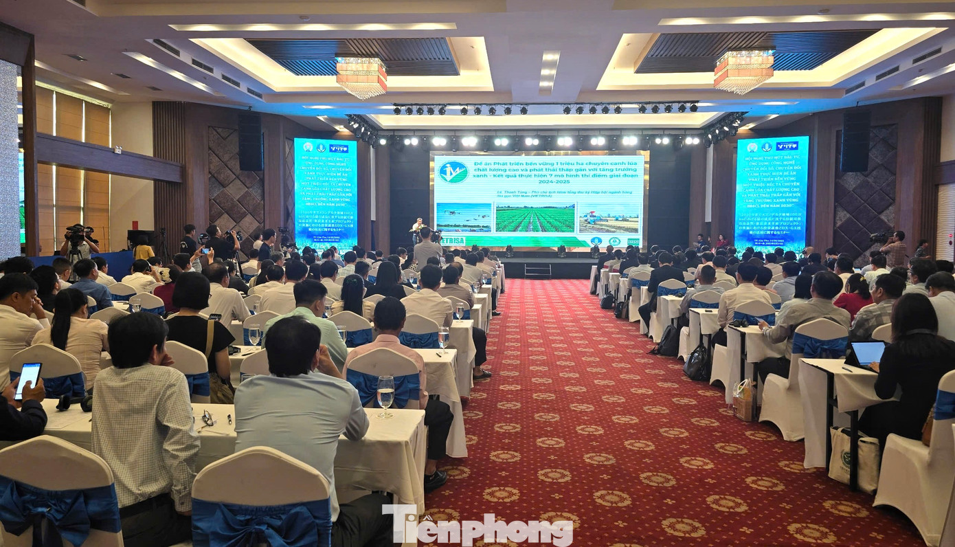 Quang cảnh hội nghị. Ảnh: CK.