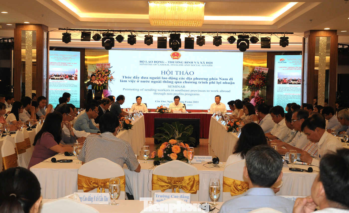 Quang cảnh hội thảo. Ảnh: Cảnh Kỳ. Quang cảnh hội thảo. Ảnh: Cảnh Kỳ.