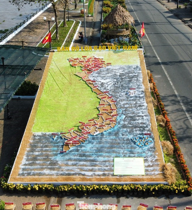 Triển lãm Con đường lúa gạo trưng bày Bản đồ lúa gạo Việt Nam có diện tích 7x10m, với tổng số 54 giống lúa (25kg) của 63 tỉnh, thành trên cả nước. Bản đổ được xác lập kỷ lục Việt Nam là "Bản đồ lúa gạo Việt Nam được ghép từ các giống lúa đặc sản của các tỉnh, thành nhiều nhất". Triển lãm Con đường lúa gạo trưng bày Bản đồ lúa gạo Việt Nam có diện tích 7x10m, với tổng số 54 giống lúa (25kg) của 63 tỉnh, thành trên cả nước. Bản đổ được xác lập kỷ lục Việt Nam là "Bản đồ lúa gạo Việt Nam được ghép từ các giống lúa đặc sản của các tỉnh, thành nhiều nhất".