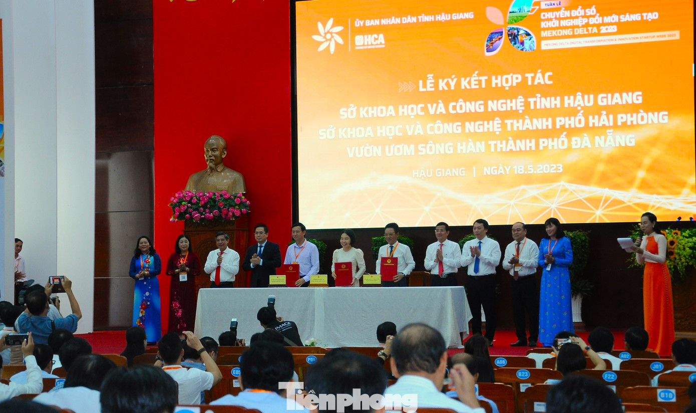 Ký kết hợp tác giữa các đơn vị của Hậu Giang với các địa phương. Ký kết hợp tác giữa các đơn vị của Hậu Giang với các địa phương.