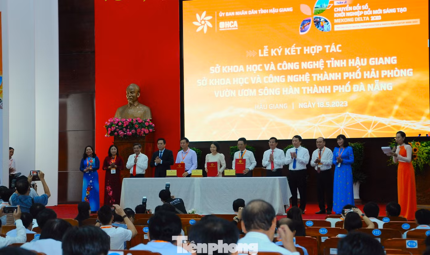 Ký kết hợp tác giữa các đơn vị của Hậu Giang với các địa phương.