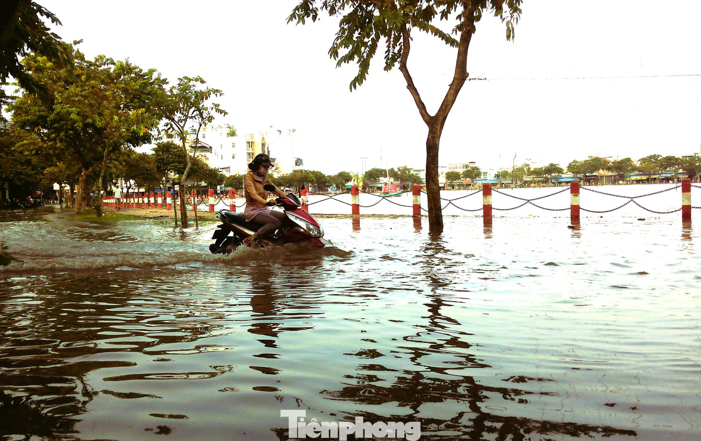 Ngập lụt nội ô Cần Thơ. Ảnh: Cảnh Kỳ