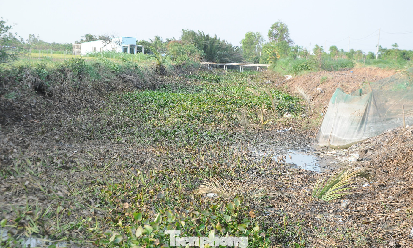 Dự báo hạn mặn mùa khô 2024-2025 tại ĐBSCL cao hơn trung bình nhiều năm. Ảnh: CK