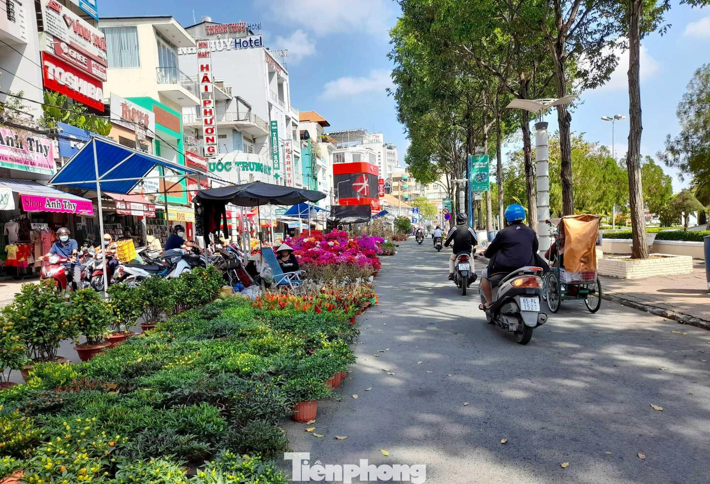Đường Hai Bà Trưng đoạn qua khu vực Bến Ninh Kiều, nơi được chọn làm tuyến phố đi bộ. Đây cũng là khu vực chợ hoa Xuân dịp Tết Nguyên đán hằng năm. Ảnh: Cảnh Kỳ