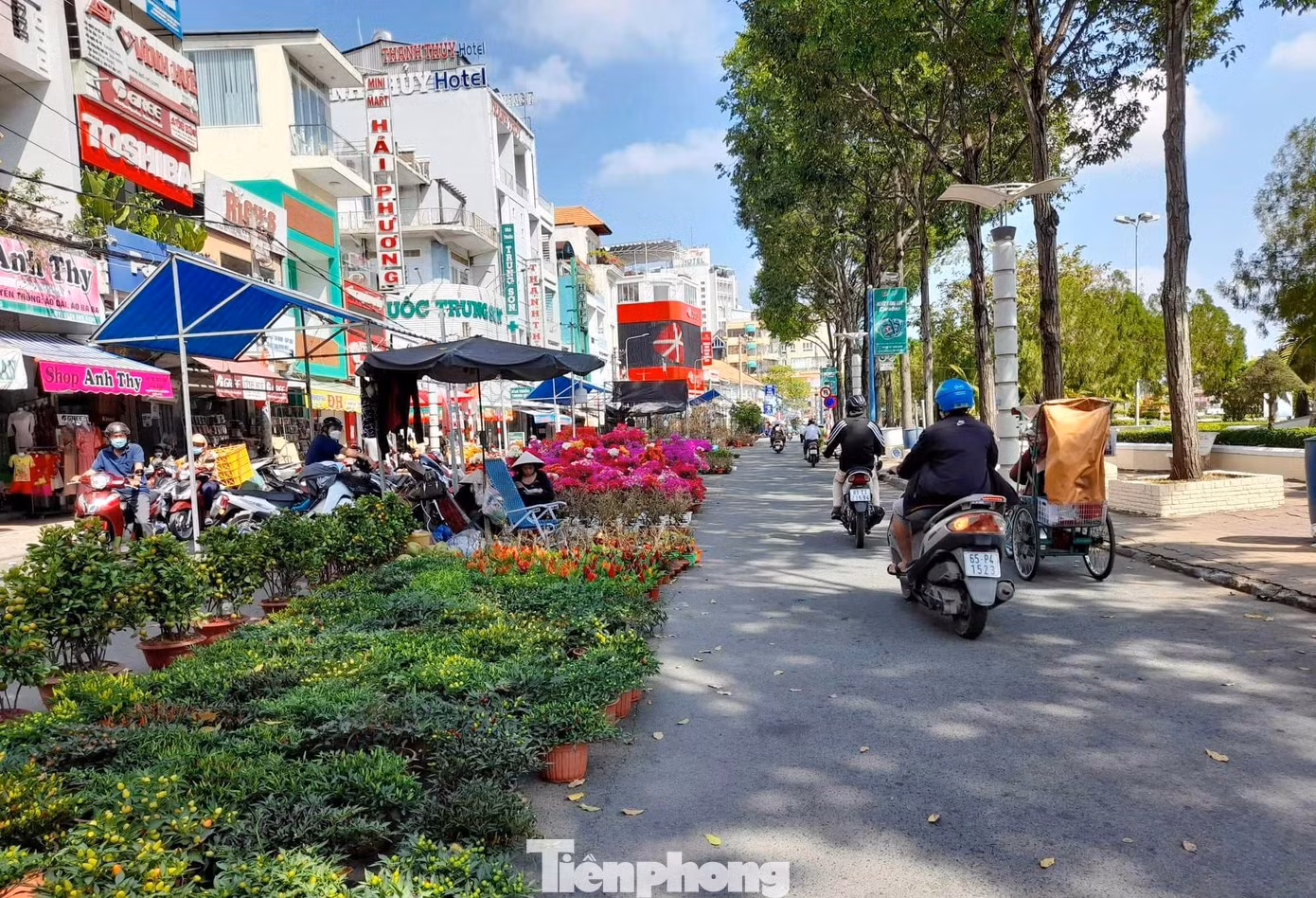 Đường Hai Bà Trưng đoạn qua khu vực Bến Ninh Kiều, nơi được chọn làm tuyến phố đi bộ. Đây cũng là khu vực chợ hoa Xuân dịp Tết Nguyên đán hằng năm. Ảnh: Cảnh Kỳ Đường Hai Bà Trưng đoạn qua khu vực Bến Ninh Kiều, nơi được chọn làm tuyến phố đi bộ. Đây cũng là khu vực chợ hoa Xuân dịp Tết Nguyên đán hằng năm. Ảnh: Cảnh Kỳ