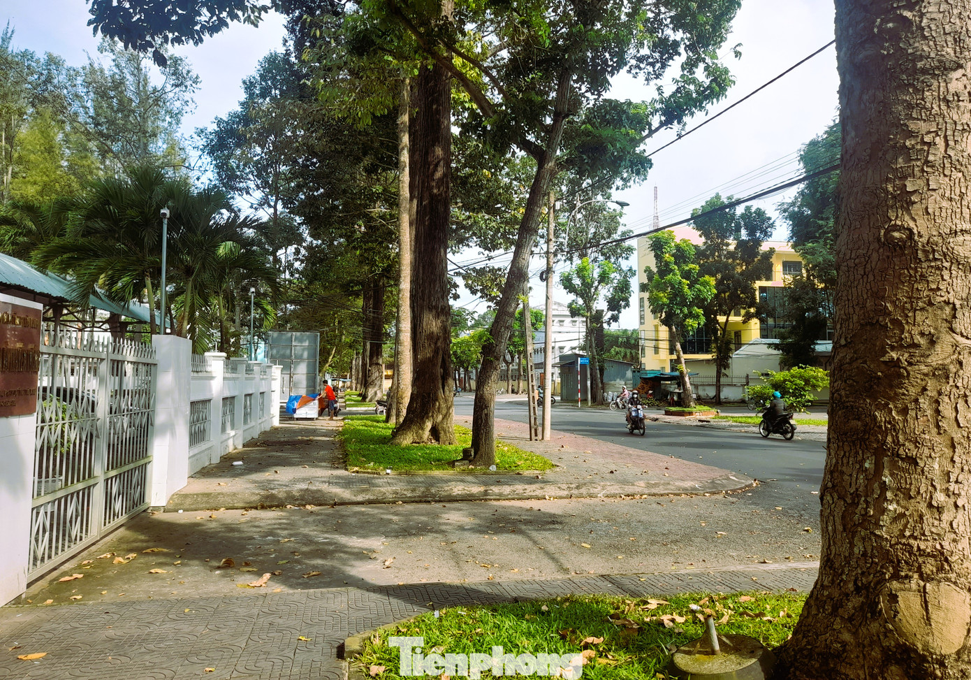 Một góc thành phố Trà Vinh. Ảnh: CK Một góc thành phố Trà Vinh. Ảnh: CK