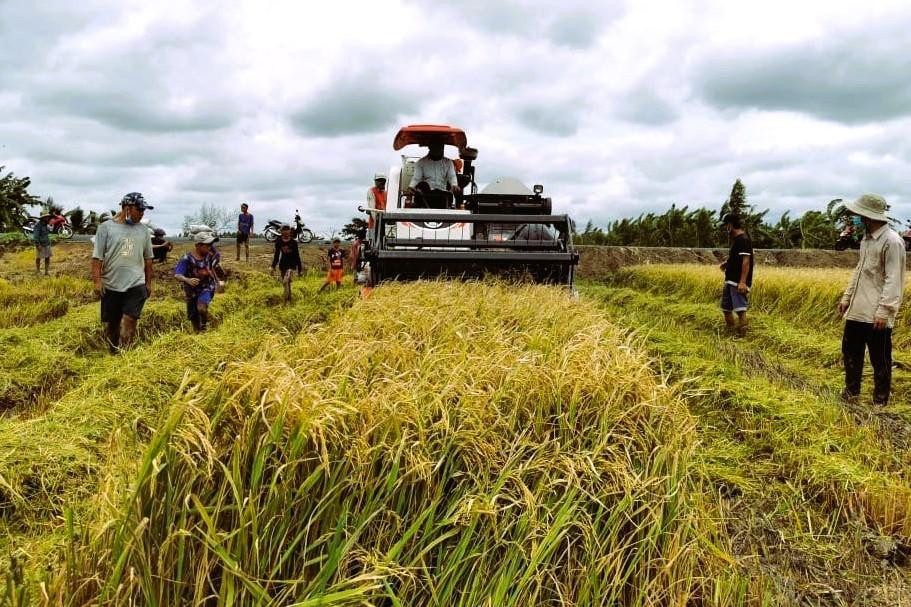 ĐBSCL có trên 2,4 triệu ha đất nông nghiệp. ĐBSCL có trên 2,4 triệu ha đất nông nghiệp.