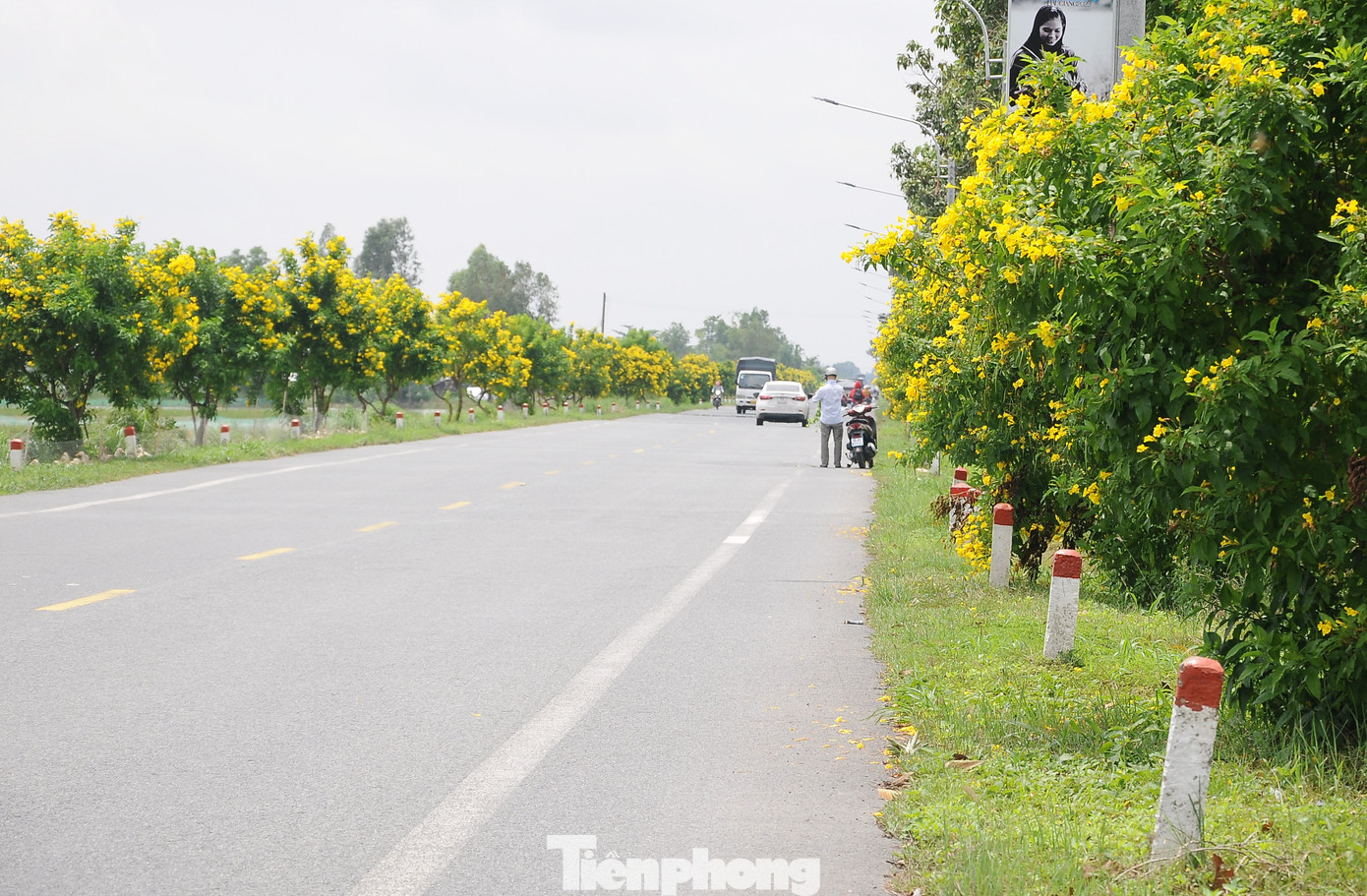 Tuyến đường bắt đầu từ phường Ba Láng (quận Cái Răng), đến xã Nhơn Nghĩa (huyện Phong Điền, thành phố Cần Thơ), đi qua huyện Châu Thành A, huyện Vị Thủy và thành phố Vị Thanh của tỉnh Hậu Giang.