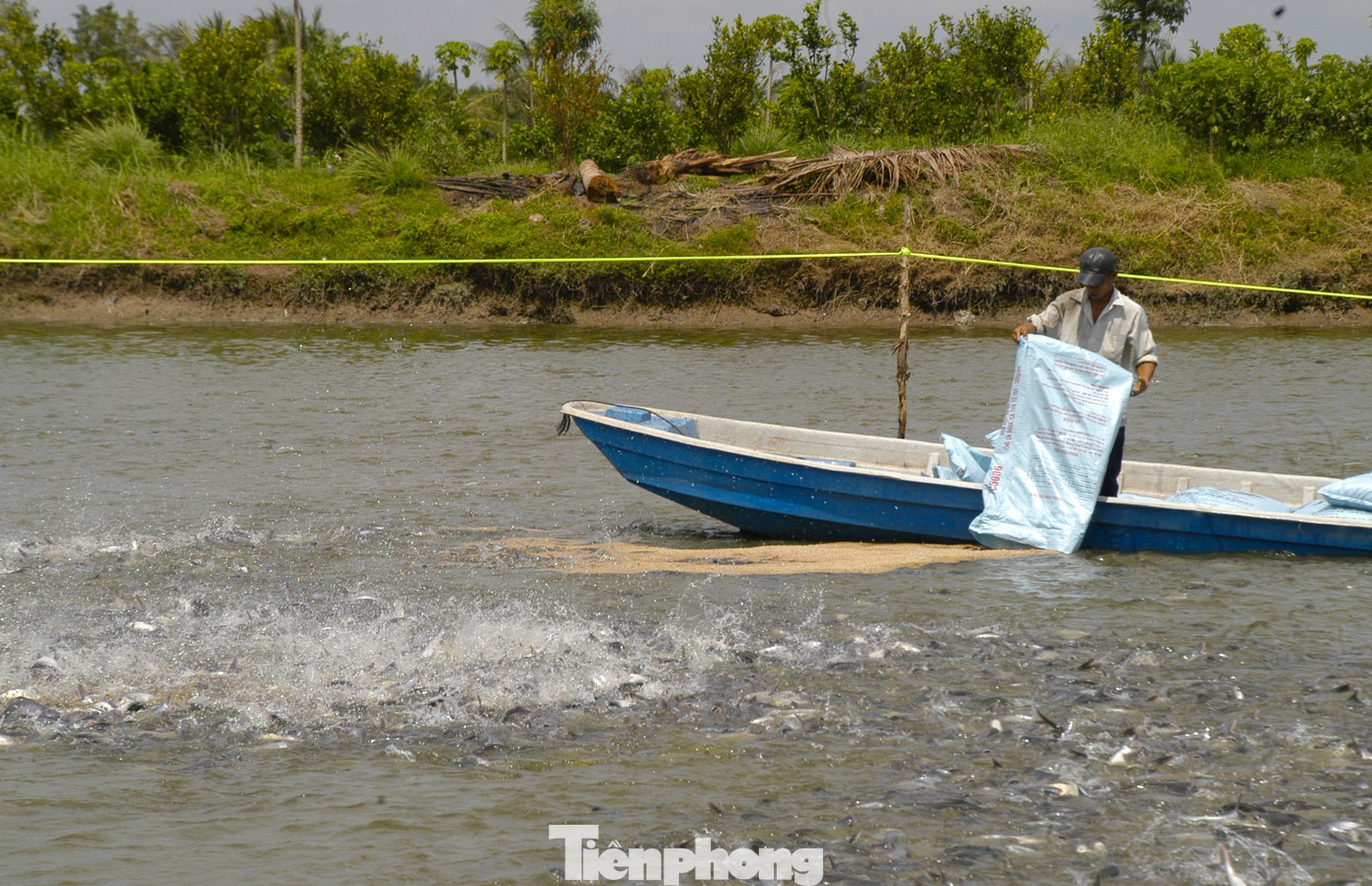 Biến đổi khí hậu sẽ ảnh hưởng đến sự phát triển của nguồn lợi thủy sản. Ảnh: CK