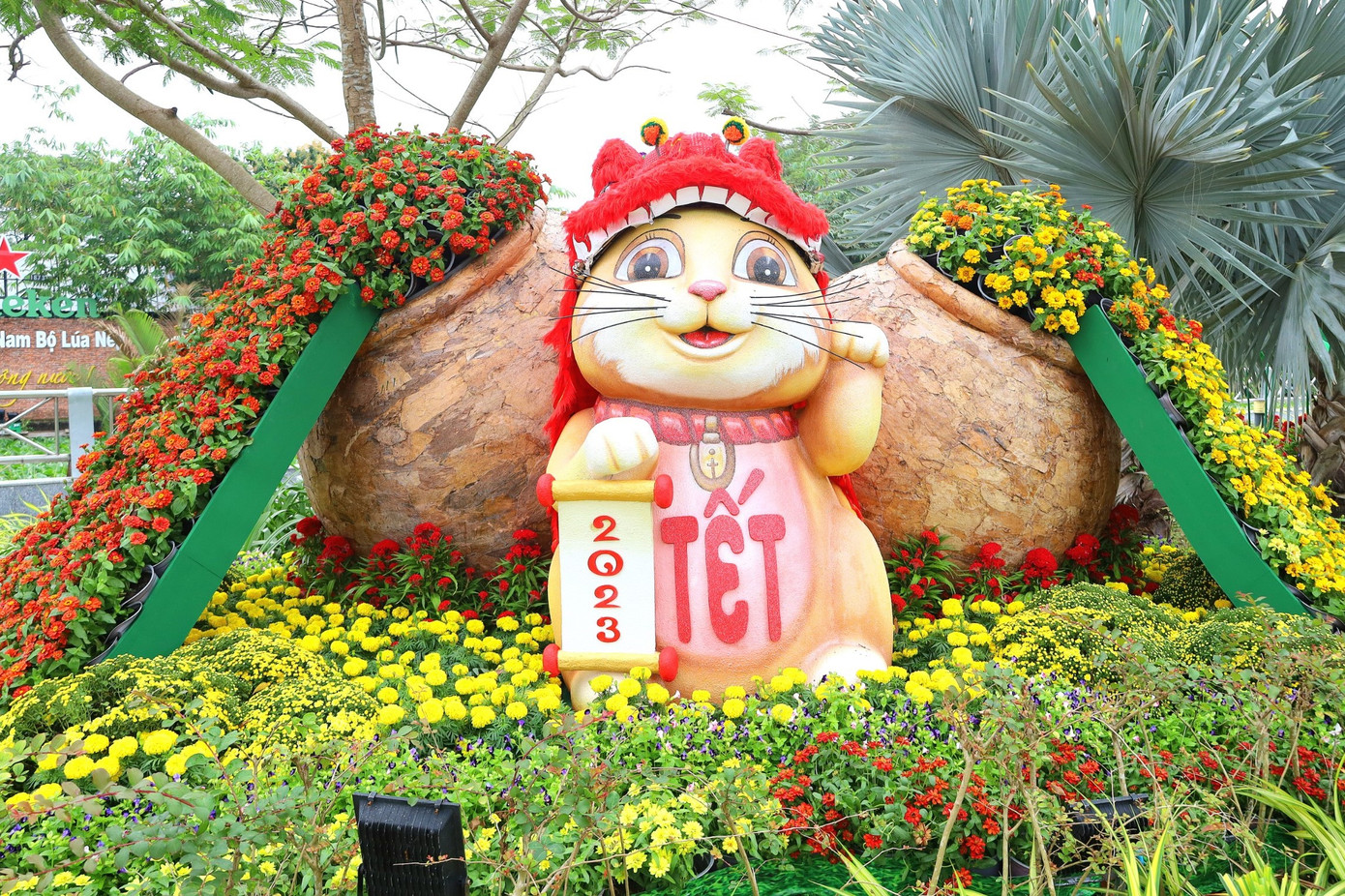 Mỗi chú mèo mang một sắc thái riêng.