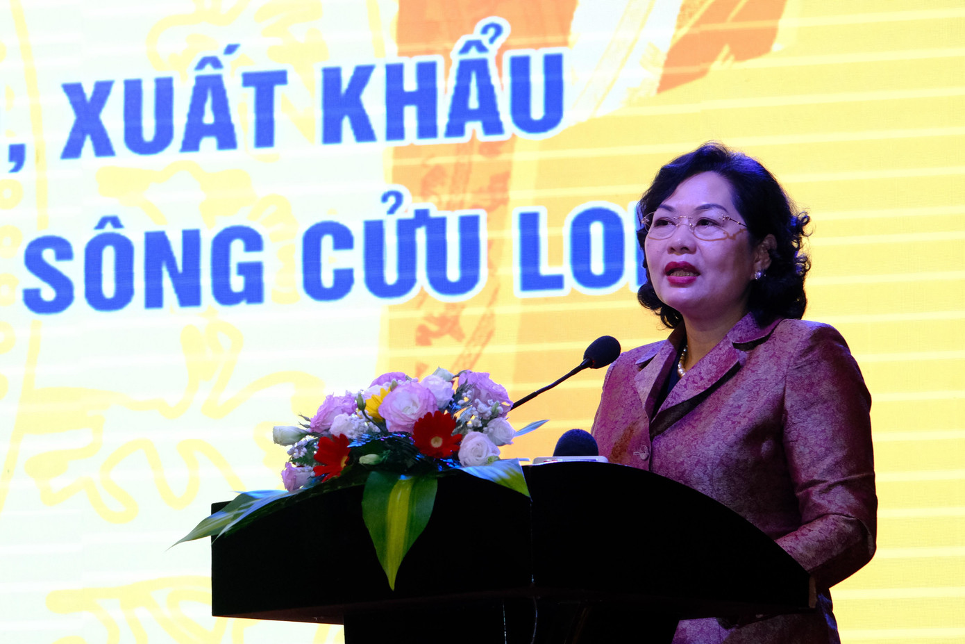 Thống đốc NHNN Nguyễn Thị Hồng phát biểu tại hội nghị.
