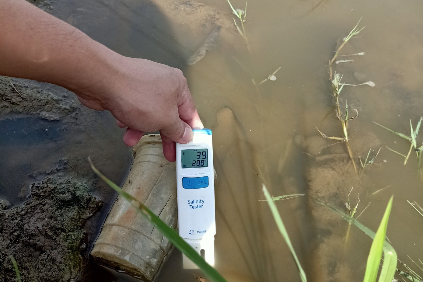 Đo nồng độ mặn ở Trà Vinh.