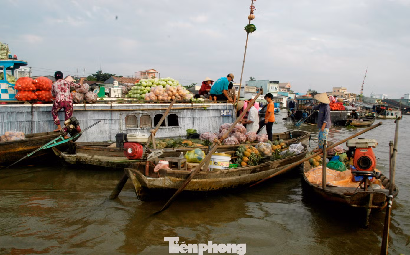 Hoạt động mua bán tại chợ nổi Cái Răng. Ảnh: Cảnh Kỳ.