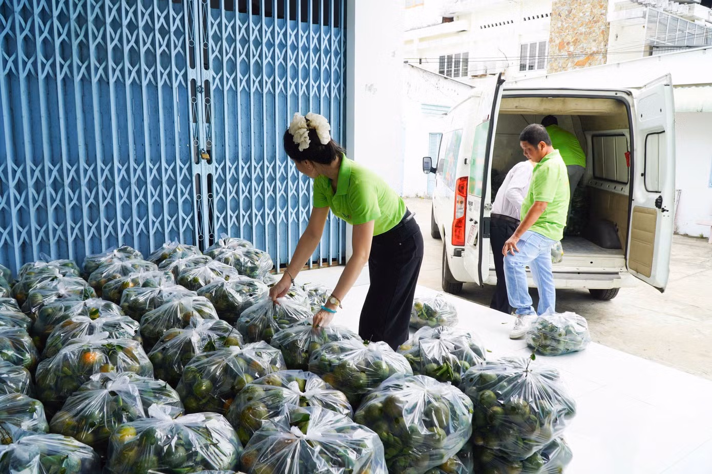 Nhiều đơn vị, tổ chức hỗ trợ tiêu thụ cam sành tại Vĩnh Long.